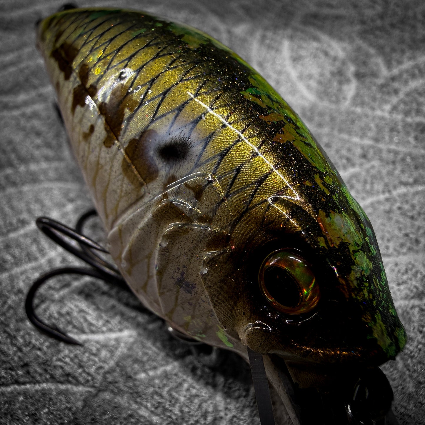 Natural Gizzard Shad