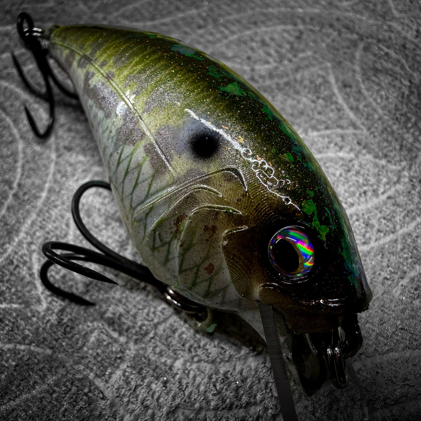 Mossy Back Shad