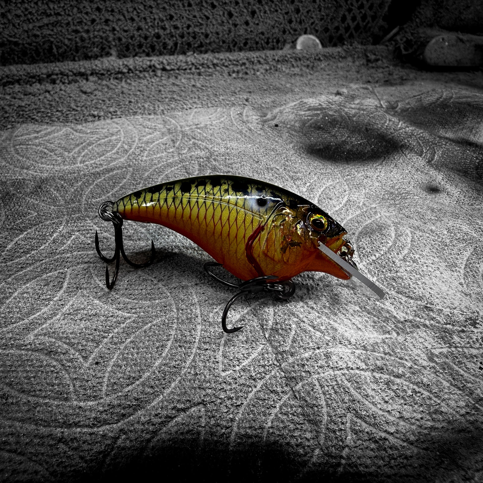cheese on fish hook The Cheese – Sauced Fishing