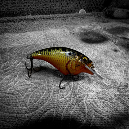 The Cheese – Sauced Fishing