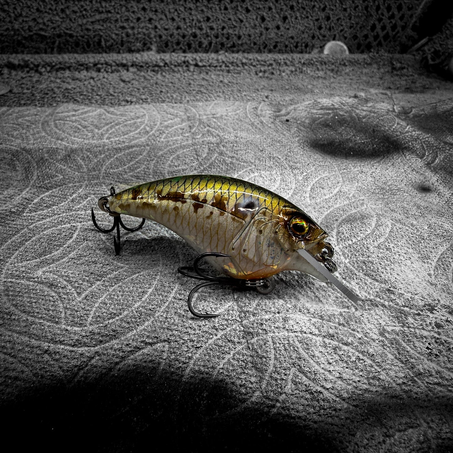 Natural Gizzard Shad