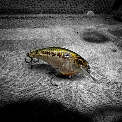 Natural Gizzard Shad