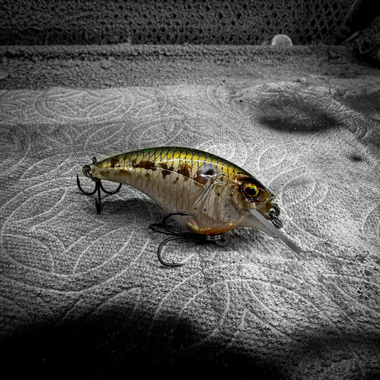 Natural Gizzard Shad