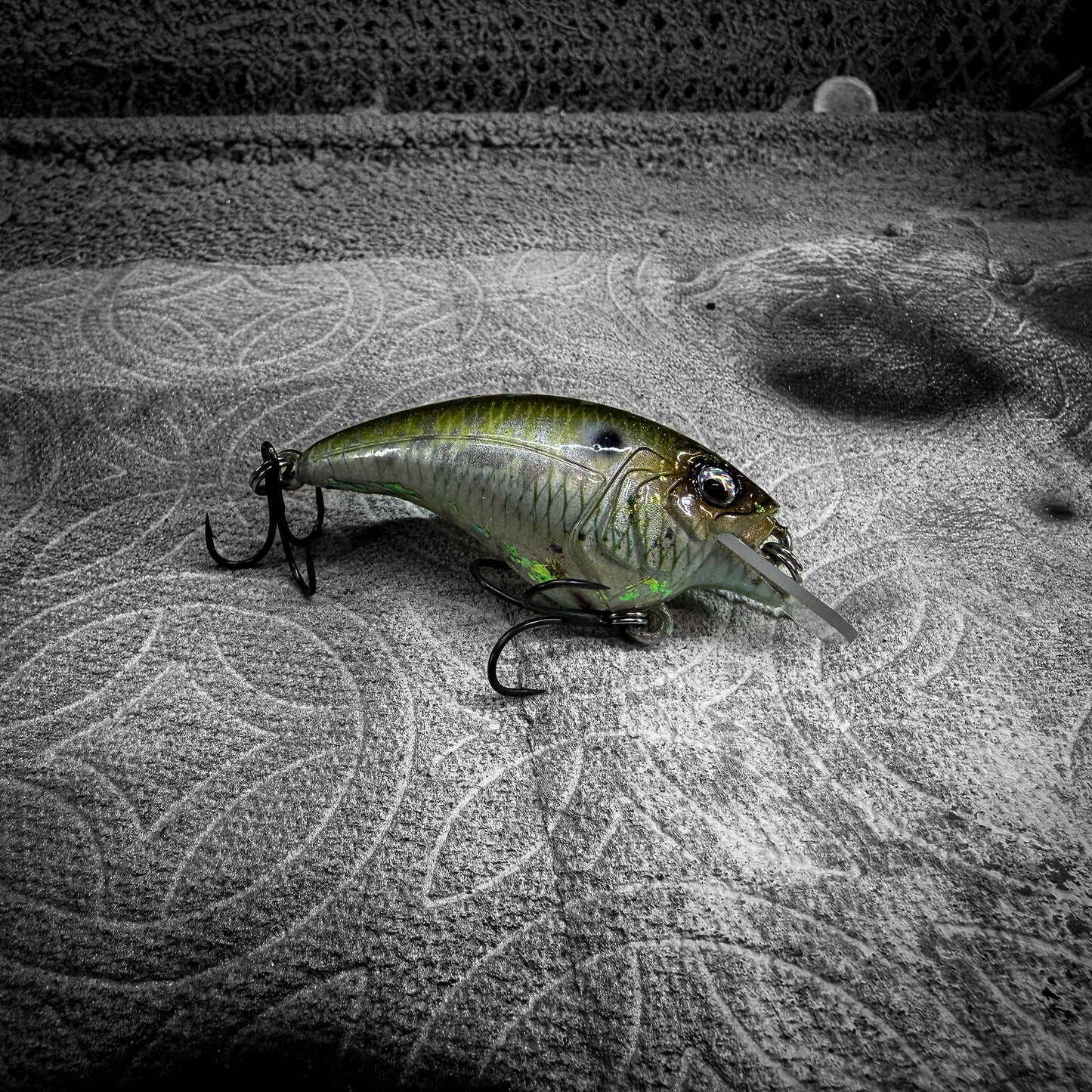 Mossy Back Shad