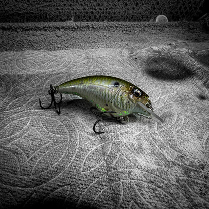 Mossy Back Shad