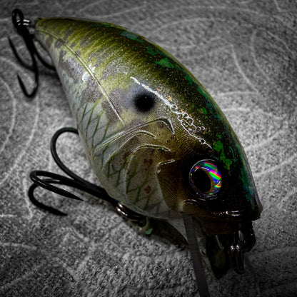 Mossy Back Shad
